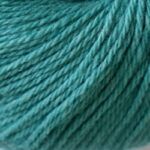 22027 Menta fresca